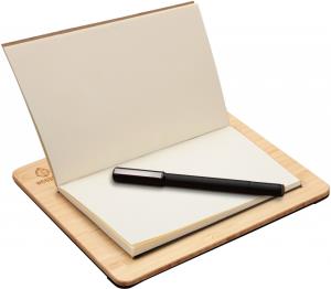 ViewBoard Notepad - PF0730-I0WW - 7.5in wood - USB Type-C Sylus pen (ink)